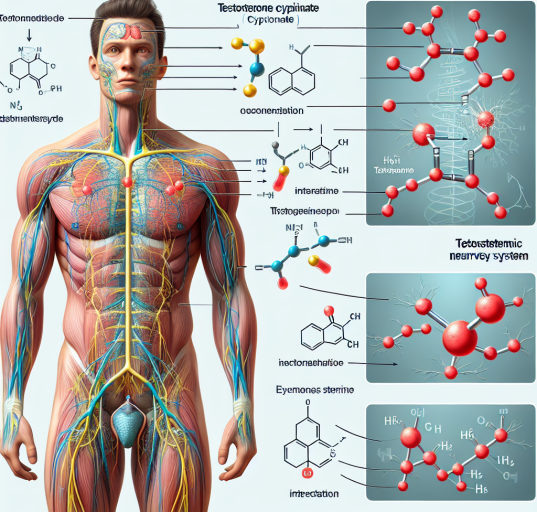 Cómo afecta Cipionato de testosterona al sistema nervioso autónomo