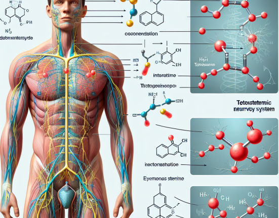 Cómo afecta Cipionato de testosterona al sistema nervioso autónomo