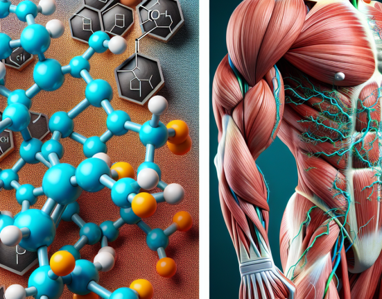 Decanoato de nandrolona y desarrollo de fibras musculares rápidas