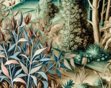 Metandienona y riesgo de lesión: por qué sube en algunos casos