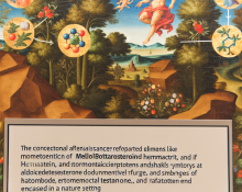 Methyltestosterone y hematocrito: señales y riesgos