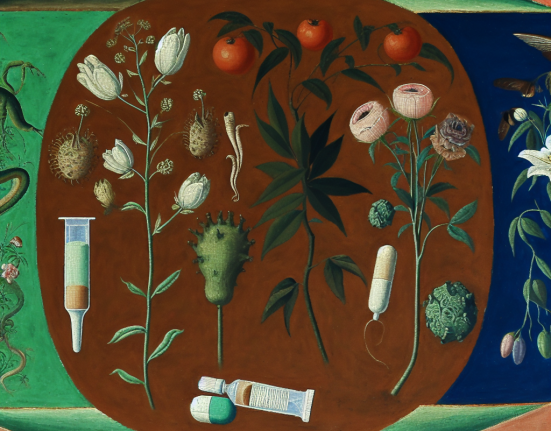 Mibolerone y antiinflamatorios: riesgos combinados