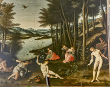 Mibolerone y estética vs salud: dilema común