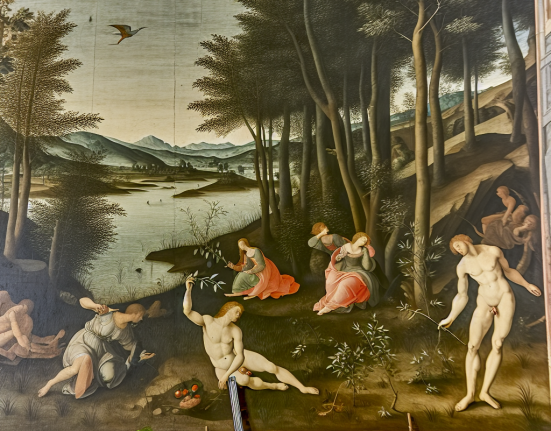 Mibolerone y estética vs salud: dilema común