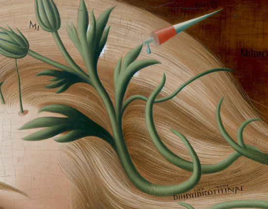 Mildronate Dihydricume y cuero cabelludo: señales tempranas