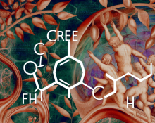 Estanozolol y creatina: compatibilidad y matices